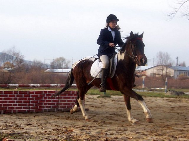 Hubertus 2006
